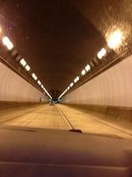2-IMG 0461