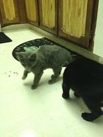 2-IMG 0474