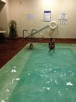 2-IMG 0530