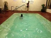 2-IMG 0538