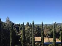 2-IMG 0556