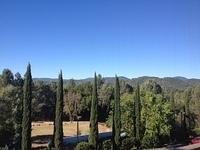 2-IMG 0557