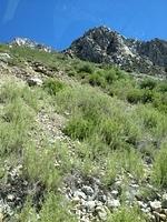 3-IMG 0684