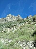 3-IMG 0685