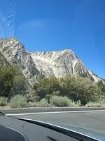3-IMG 0686