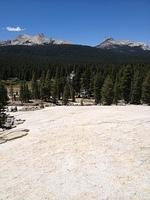 3-IMG 0717