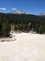 3-IMG 0718