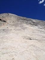 3-IMG 0733