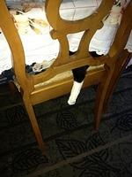 3-IMG 0922