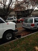 4-IMG 1466