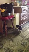 IMG 0421