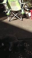 IMG 0481