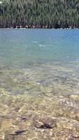 IMG 0740