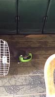 IMG 0818