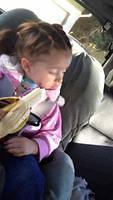 IMG 1135