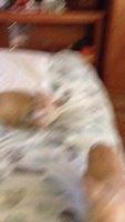 IMG 1142