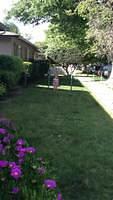IMG 1761