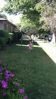IMG 1762