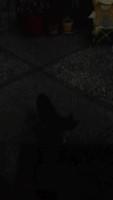 IMG 2056