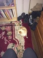 1-IMG 0003