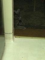 1-IMG 0069