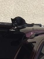 1-IMG 0117