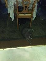 1-IMG 0126