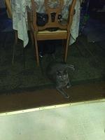 1-IMG 0127
