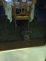 1-IMG 0128