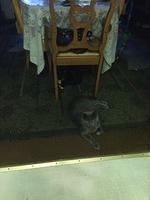 1-IMG 0129