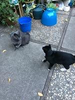 1-IMG 0179
