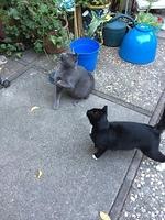 1-IMG 0180