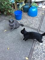 1-IMG 0181