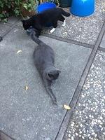 1-IMG 0190