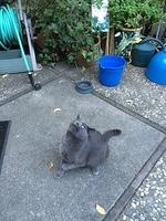 1-IMG 0192