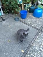 1-IMG 0198