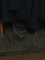 1-IMG 0324