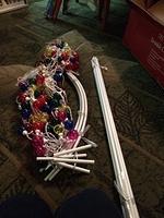 1-IMG 0368