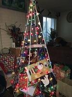 1-IMG 0371