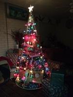 1-IMG 0379