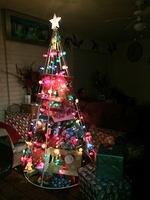1-IMG 0381