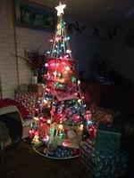 1-IMG 0382