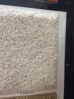 1-IMG 0406
