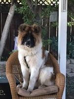 1-IMG 0456