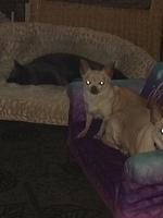1-IMG 0469