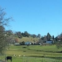 1-IMG 0549