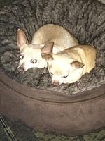1-IMG 0656