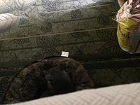 1-IMG 0665