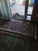 1-IMG 0704