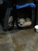 1-IMG 0757